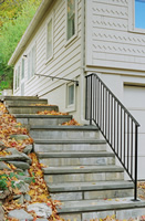Hand and grab rail with penny roll scrolls