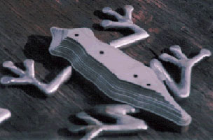 Frog Hinge